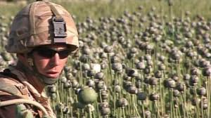 Why the Drug War is a Crime Against Humanity