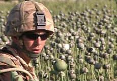 Why the Drug War is a Crime Against Humanity