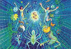 Infinite Love Is the Only Truth, Everything Else Is Illusion
