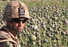 NATO mission in Afghanistan: protect heroin traffickers