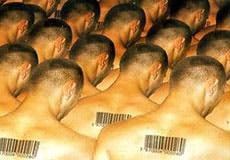 Toppling the New World Order: A Vision for How We Can Do It