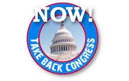 Taking Back Congress: What Americans Must Do Now