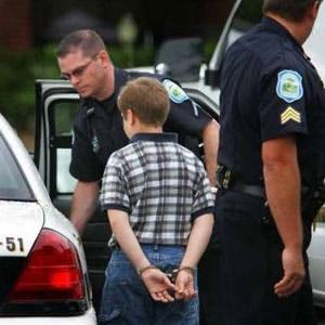 Operations Falcon and the Looming Police State