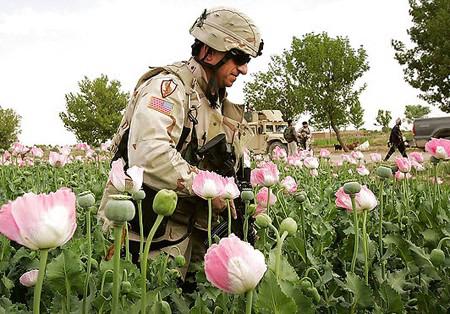 White House, CIA and NATO Involved in Heroin Smuggling
