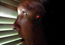 Electronically Harassed? Help / Suggestions / Info For You