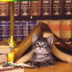 The 20 Books You Must Read