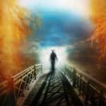 We All Survive the Physical Death of Our Bodies