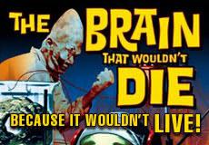 BAM: Manhattan Project For the Human Brain