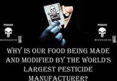 Brand New GMO Food Can Rewire Your Body