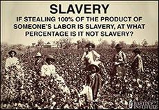 You are a Tax Slave, Neo!