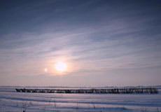 Nibiru, Climate Change and Consciousness