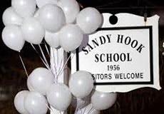 Stealth Terror III: Sandy Hook, Terrorist Enclave