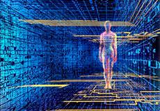 The Nature of Mind and the Holographic Brain