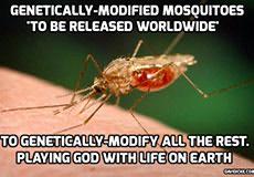 Zika: The Ideal Fake Epidemic to Promote Vaccination