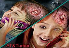 Mobile Phones, Wi-Fi: Artificial Kills Natural (Including You)