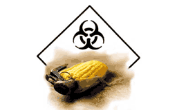 UK Gov’t Implicitly Classifies GMO as Bioweapons