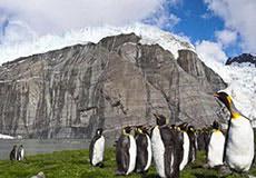 The Secret Antarctic Cover-Up