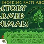 10 Shocking Facts About Factory Farmed Animals