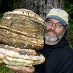 Mushrooms Can Save the World from Monsanto