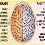 Left Brain vs. Right Brain: Side Effects and Dangers