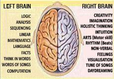 Left Brain vs. Right Brain: Side Effects and Dangers